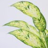 Artificial Plant 35*44cm Leaves in pp pot GS-06921009 Leaves&Sprays&Foliages YeahFlower is one of Chinese leading OEM manufacturers and exporters , supplying the silk flowers, wholesale artificial trees