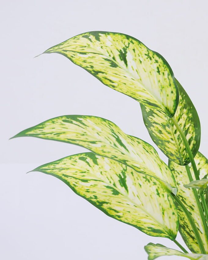 Artificial Plant 35*44cm Leaves in pp pot GS-06921009 Leaves&Sprays&Foliages YeahFlower is one of Chinese leading OEM manufacturers and exporters , supplying the silk flowers, wholesale artificial trees