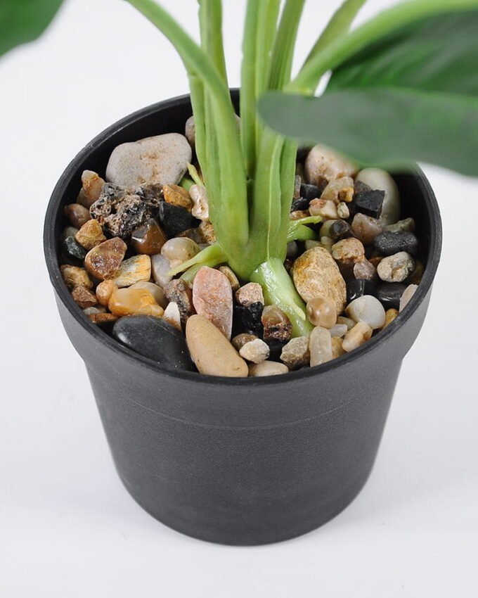 Artificial Plant Leaves in pp pot GS-06921011_9 Artificial Plant 35*44cm Leaves in pp pot GS-06921011 Leaves&Sprays&Foliages YeahFlower is one of Chinese leading OEM manufacturers and exporters , supplying the silk flowers, wholesale artificial trees