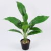 Artificial Plant Leaves in pp pot GS-06921012_2 Artificial Plant 35*44cm Leaves in pp pot GS-06921012 Leaves&Sprays&Foliages YeahFlower is one of Chinese leading OEM manufacturers and exporters , supplying the silk flowers, wholesale artificial trees