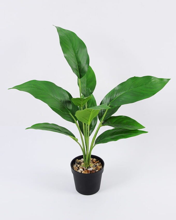 Artificial Plant Leaves in pp pot GS-06921012_2 Artificial Plant 35*44cm Leaves in pp pot GS-06921012 Leaves&Sprays&Foliages YeahFlower is one of Chinese leading OEM manufacturers and exporters , supplying the silk flowers, wholesale artificial trees