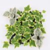 Artificial Plant Leaves mat lvs70 GS-29820013-G2_2 Artificial Plant 29*31*3CM Leaves mat/lvs70 GS-29820013-G2 Leaves&Sprays&Foliages YeahFlower is one of Chinese leading OEM manufacturers and exporters , supplying the silk flowers, wholesale artificial trees