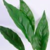 Artificial Plant 32*54cm Leaves spray/lvs7 GS-14520042 Leaves&Sprays&Foliages YeahFlower is one of Chinese leading OEM manufacturers and exporters , supplying the silk flowers, wholesale artificial trees