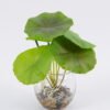 Artificial Plant Lotus leaves in glass ware GS-06921025_4 Artificial Plant 14*17cm Lotus leaves in glass ware GS-06921025 Leaves&Sprays&Foliages YeahFlower is one of Chinese leading OEM manufacturers and exporters , supplying the silk flowers, wholesale artificial trees