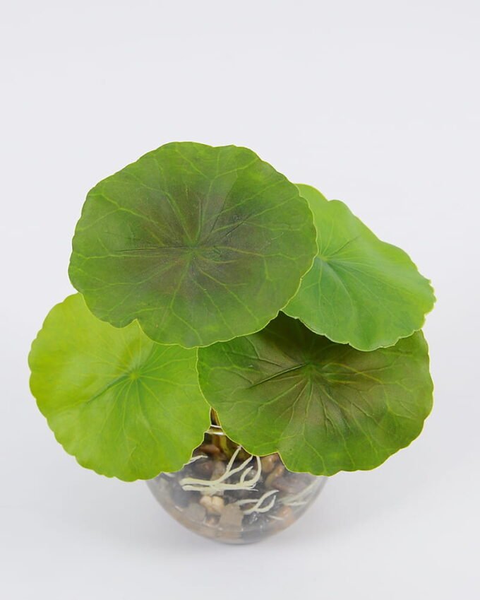 Artificial Plant Lotus leaves in glass ware GS-06921025_5 Artificial Plant 14*17cm Lotus leaves in glass ware GS-06921025 Leaves&Sprays&Foliages YeahFlower is one of Chinese leading OEM manufacturers and exporters , supplying the silk flowers, wholesale artificial trees