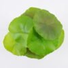 Artificial Plant Lotus leaves in pp pot GS-06921027_7 Artificial Plant 18*18cm Lotus leaves in pp pot GS-06921027 Leaves&Sprays&Foliages YeahFlower is one of Chinese leading OEM manufacturers and exporters , supplying the silk flowers, wholesale artificial trees