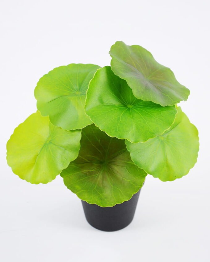 Artificial Plant Lotus leaves in pp pot GS-06921027_8 Artificial Plant 18*18cm Lotus leaves in pp pot GS-06921027 Leaves&Sprays&Foliages YeahFlower is one of Chinese leading OEM manufacturers and exporters , supplying the silk flowers, wholesale artificial trees