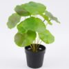 Artificial Plant 27*29cm Lotus leaves in pp pot GS-06921028 Leaves&Sprays&Foliages YeahFlower is one of Chinese leading OEM manufacturers and exporters , supplying the silk flowers, wholesale artificial trees