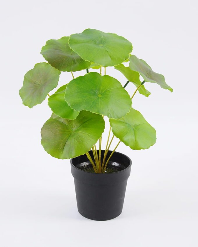 Artificial Plant 27*29cm Lotus leaves in pp pot GS-06921028 Leaves&Sprays&Foliages YeahFlower is one of Chinese leading OEM manufacturers and exporters , supplying the silk flowers, wholesale artificial trees