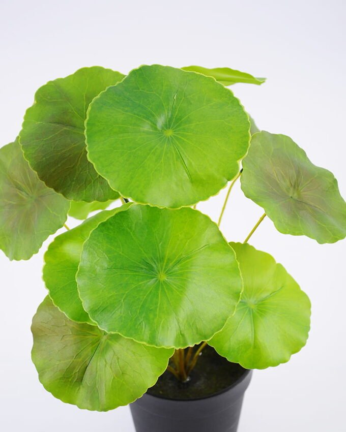 Artificial Plant 27*29cm Lotus leaves in pp pot GS-06921028 Leaves&Sprays&Foliages YeahFlower is one of Chinese leading OEM manufacturers and exporters , supplying the silk flowers, wholesale artificial trees