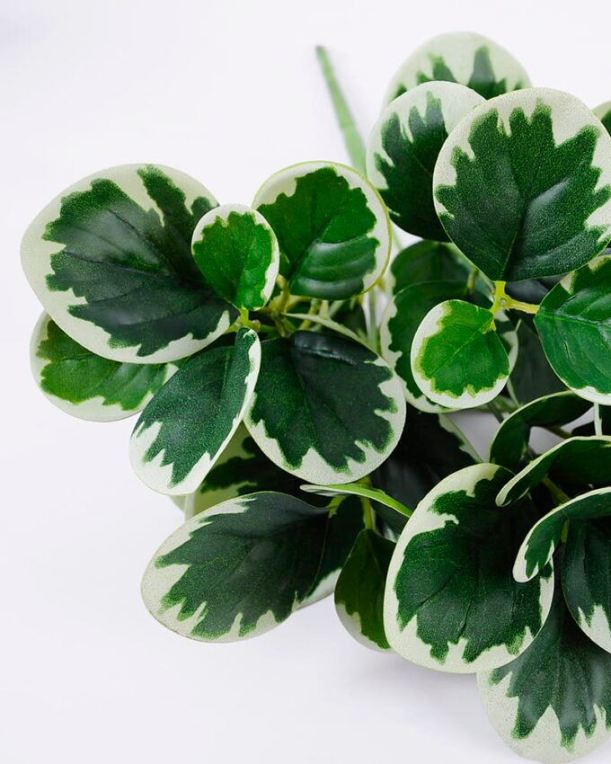 Artificial Plant Watercress leaves bush 5 lvs45 GS-29819038_4 Artificial Plant 27*34cm Watercress leaves bush*5/lvs45 GS-29819038 Leaves&Sprays&Foliages YeahFlower is one of Chinese leading OEM manufacturers and exporters , supplying the silk flowers, wholesale artificial trees