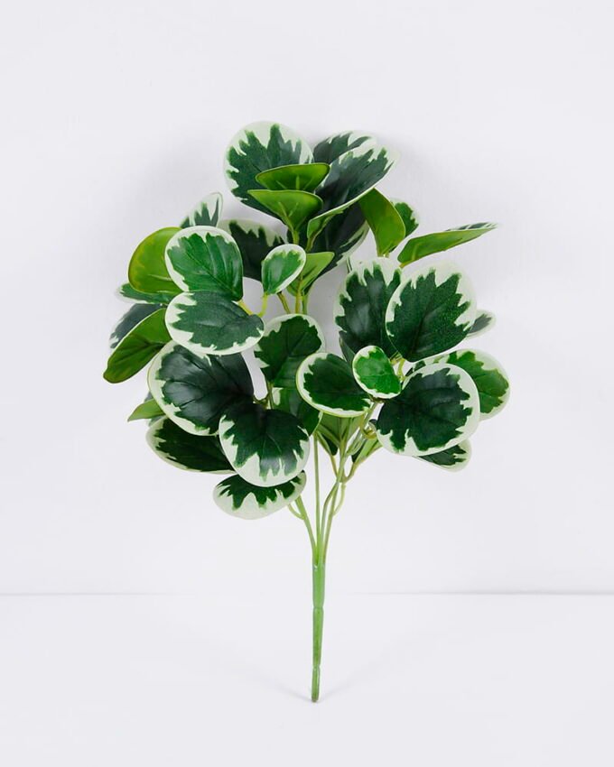 Artificial Plant Watercress leaves bush 5 lvs45 GS-29819038_5 Artificial Plant 27*34cm Watercress leaves bush*5/lvs45 GS-29819038 Leaves&Sprays&Foliages YeahFlower is one of Chinese leading OEM manufacturers and exporters , supplying the silk flowers, wholesale artificial trees