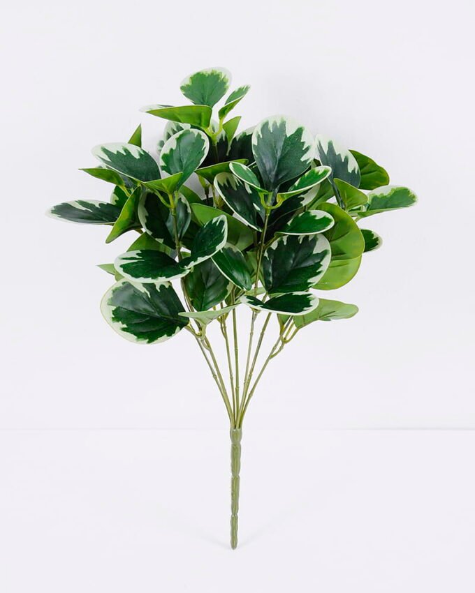 Artificial Plant Watercress leaves bush 7 lvs63 GS-29819039_2 Artificial Plant 27*25*40cm Watercress leaves bush*7/lvs63 GS-29819039 Leaves&Sprays&Foliages YeahFlower is one of Chinese leading OEM manufacturers and exporters , supplying the silk flowers, wholesale artificial trees
