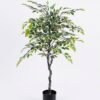 Artificial Tree 76*73*107cm Ficus tree in pp pot/lvs682 GS-26620013-G2 Tree&Plant YeahFlower is one of Chinese leading OEM manufacturers and exporters , supplying the silk flowers, wholesale artificial trees