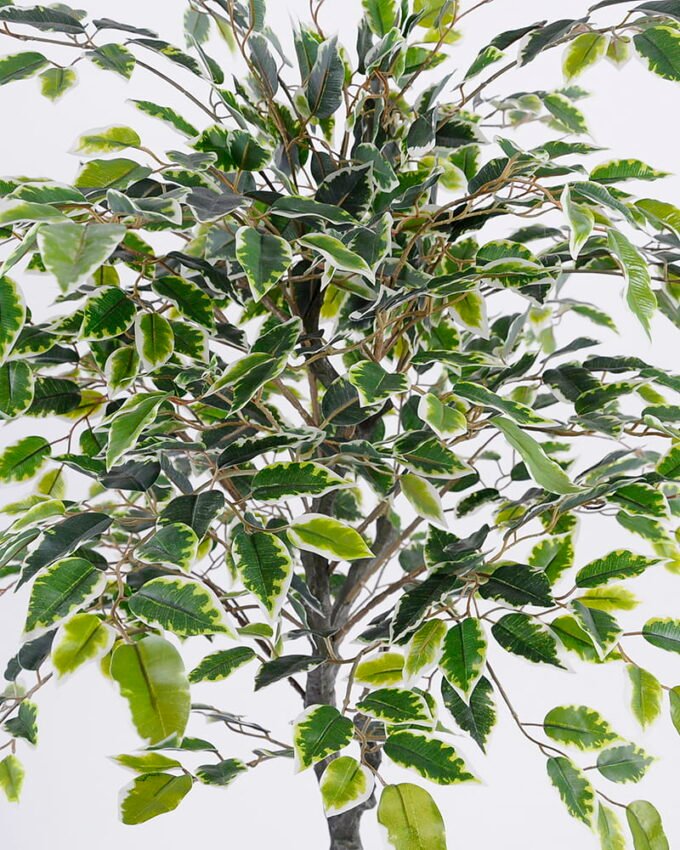 Artificial Tree 76*73*107cm Ficus tree in pp pot/lvs682 GS-26620013-G2 Tree&Plant YeahFlower is one of Chinese leading OEM manufacturers and exporters , supplying the silk flowers, wholesale artificial trees