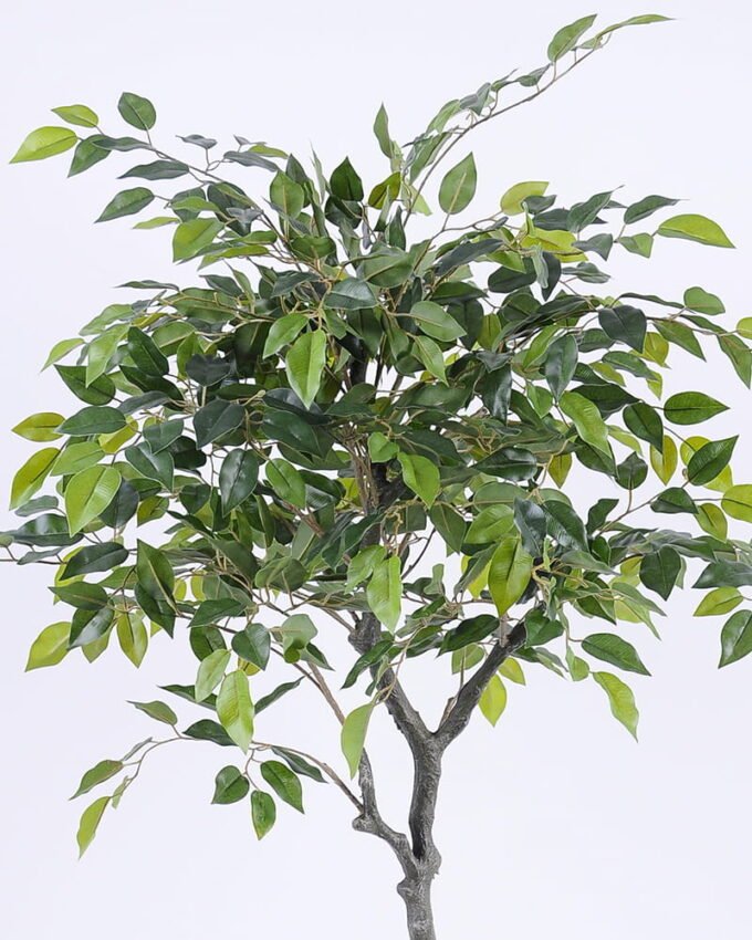 Artificial Tree 76*73*107cm Ficus tree in pp pot/lvs682 GS-26620013 Tree&Plant YeahFlower is one of Chinese leading OEM manufacturers and exporters , supplying the silk flowers, wholesale artificial trees