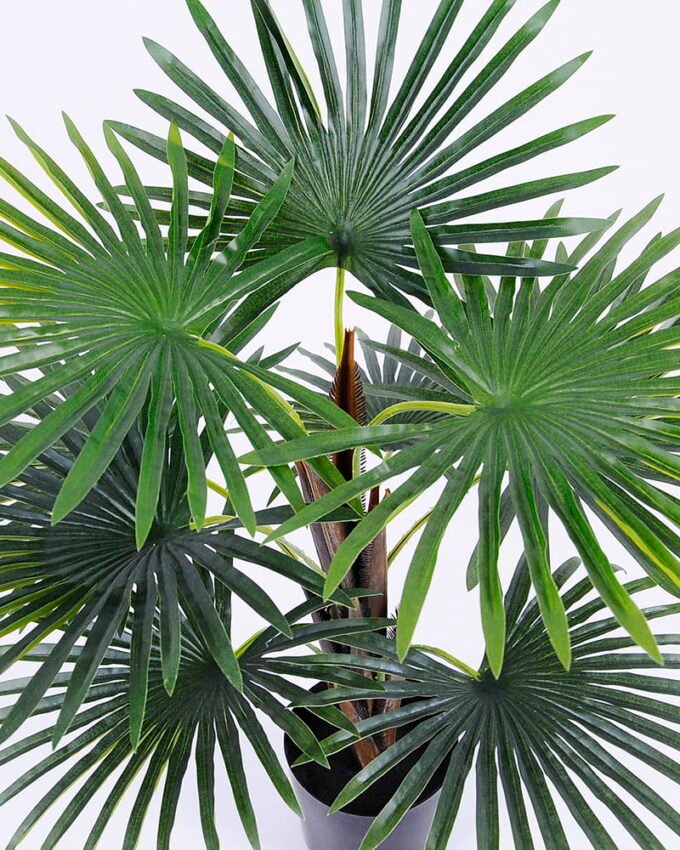 Artificial Tree 55*55*58cm Kwai Palm in pp pot/lvs9 GS-26620015 Tree&Plant YeahFlower is one of Chinese leading OEM manufacturers and exporters , supplying the silk flowers, wholesale artificial trees