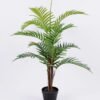 Artificial Tree 72*66*98cm Kwai tree in pp pot/lvs12 GS-59520051 Tree&Plant YeahFlower is one of Chinese leading OEM manufacturers and exporters , supplying the silk flowers, wholesale artificial trees