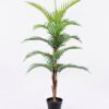 Artificial Tree Kwai tree in pp pot lvs15 GS-59520052_4 Artificial Tree 72*60*124cm Kwai tree in pp pot/lvs15 GS-59520052 Tree&Plant YeahFlower is one of Chinese leading OEM manufacturers and exporters , supplying the silk flowers, wholesale artificial trees