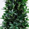 Artificial Tree 59*59*150cm Laurus tree in pp pot/lvs1560 GS-26620018 Tree&Plant YeahFlower is one of Chinese leading OEM manufacturers and exporters , supplying the silk flowers, wholesale artificial trees