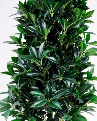 Artificial Tree 59*59*150cm Laurus tree in pp pot/lvs1560 GS-26620018 Tree&Plant YeahFlower is one of Chinese leading OEM manufacturers and exporters , supplying the silk flowers, wholesale artificial trees