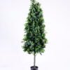 Artificial Tree 50*50*150cm green Polyscias in pp pot/lvs1800 GS-26620017 Tree&Plant YeahFlower is one of Chinese leading OEM manufacturers and exporters , supplying the silk flowers, wholesale artificial trees