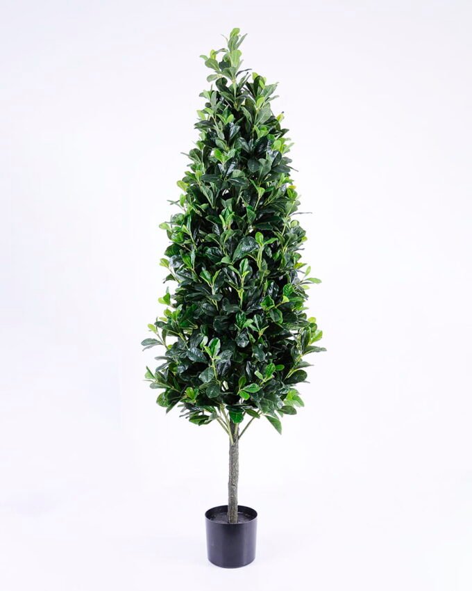 Artificial Tree 50*50*150cm green Polyscias in pp pot/lvs1800 GS-26620017 Tree&Plant YeahFlower is one of Chinese leading OEM manufacturers and exporters , supplying the silk flowers, wholesale artificial trees