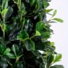 Artificial Tree 50*50*150cm green Polyscias in pp pot/lvs1800 GS-26620017 Tree&Plant YeahFlower is one of Chinese leading OEM manufacturers and exporters , supplying the silk flowers, wholesale artificial trees