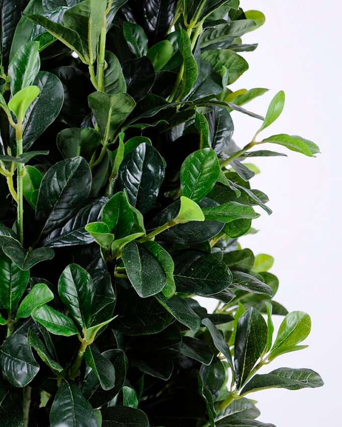 Artificial Tree 50*50*150cm green Polyscias in pp pot/lvs1800 GS-26620017 Tree&Plant YeahFlower is one of Chinese leading OEM manufacturers and exporters , supplying the silk flowers, wholesale artificial trees