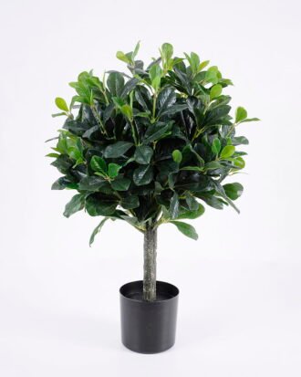 Artificial Tree 40*38*60cm green Polyscias in pp pot/lvs495 GS-26620019 Tree&Plant YeahFlower is one of Chinese leading OEM manufacturers and exporters , supplying the silk flowers, wholesale artificial trees