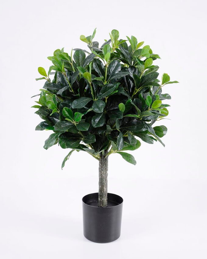 Artificial Tree 40*38*60cm green Polyscias in pp pot/lvs495 GS-26620019 Tree&Plant YeahFlower is one of Chinese leading OEM manufacturers and exporters , supplying the silk flowers, wholesale artificial trees
