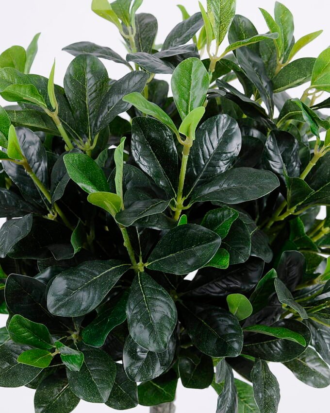 Artificial Tree 40*38*60cm green Polyscias in pp pot/lvs495 GS-26620019 Tree&Plant YeahFlower is one of Chinese leading OEM manufacturers and exporters , supplying the silk flowers, wholesale artificial trees