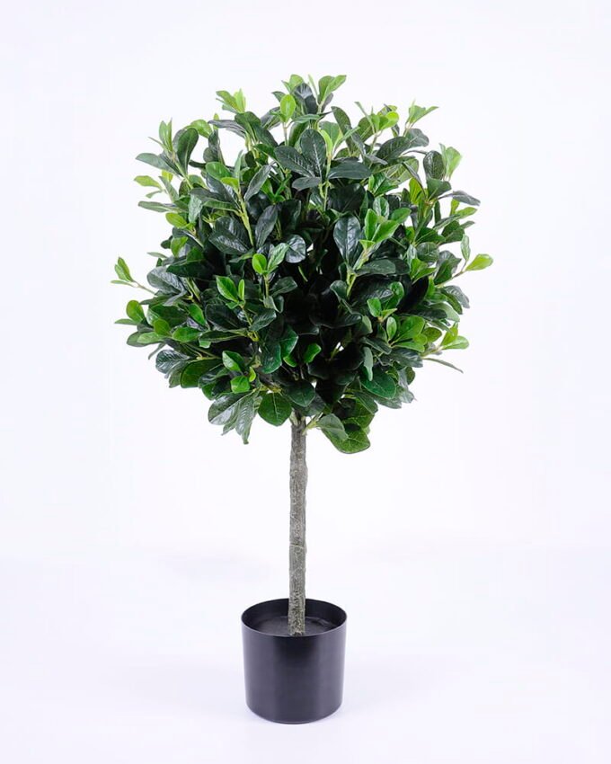 Artificial Tree 45*50*85cm green Polyscias in pp pot/lvs900 GS-26620022-G1 Tree&Plant YeahFlower is one of Chinese leading OEM manufacturers and exporters , supplying the silk flowers, wholesale artificial trees