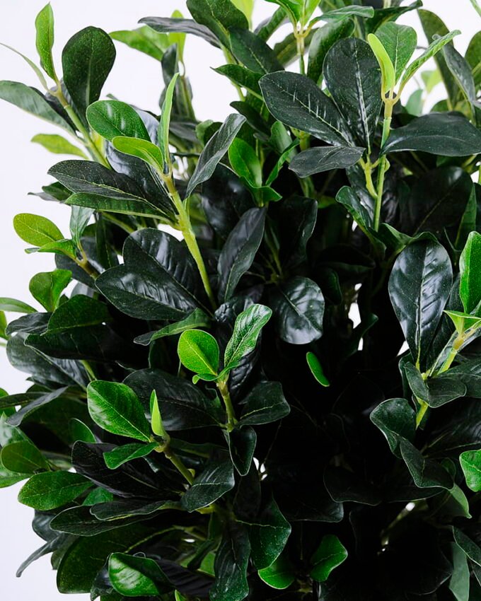 Artificial Tree 45*50*85cm green Polyscias in pp pot/lvs900 GS-26620022-G1 Tree&Plant YeahFlower is one of Chinese leading OEM manufacturers and exporters , supplying the silk flowers, wholesale artificial trees