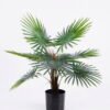 Artificial Tree 55*55*58cm wai Palm in pp pot/lvs9 GS-26620016 Tree&Plant YeahFlower is one of Chinese leading OEM manufacturers and exporters , supplying the silk flowers, wholesale artificial trees