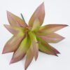 Artificial succulent Flower GS-61620002-Z1_6 Artificial succulent 20*22cm Flower GS-61620002-Z1 Single Flowers YeahFlower is one of Chinese leading OEM manufacturers and exporters , supplying the silk flowers, wholesale artificial trees