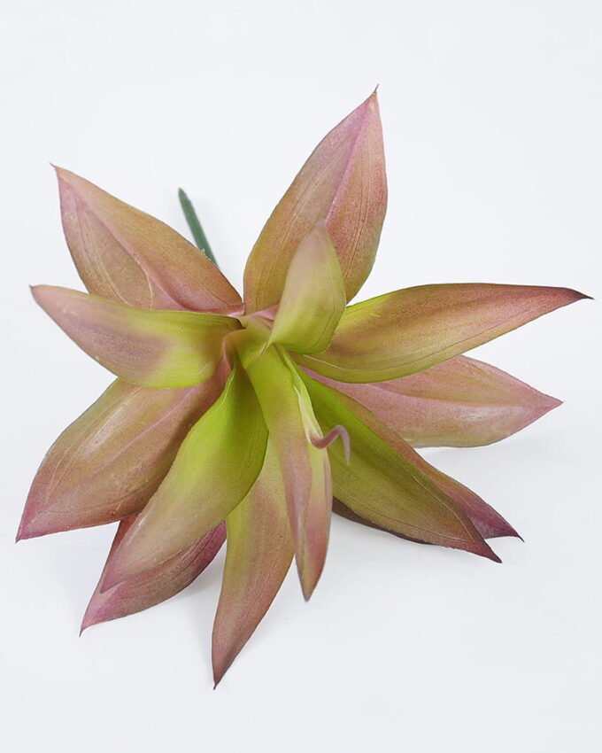 Artificial succulent Flower GS-61620002-Z1_6 Artificial succulent 20*22cm Flower GS-61620002-Z1 Single Flowers YeahFlower is one of Chinese leading OEM manufacturers and exporters , supplying the silk flowers, wholesale artificial trees