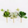 Artificial succulent Lotus GS-61620001-G1_1 Artificial succulent 12*27cm Lotus GS-61620001-G1 Single Flowers YeahFlower is one of Chinese leading OEM manufacturers and exporters , supplying the silk flowers, wholesale artificial trees