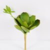Artificial succulent Lotus GS-61620001-G1_2 Artificial succulent 12*27cm Lotus GS-61620001-G1 Single Flowers YeahFlower is one of Chinese leading OEM manufacturers and exporters , supplying the silk flowers, wholesale artificial trees