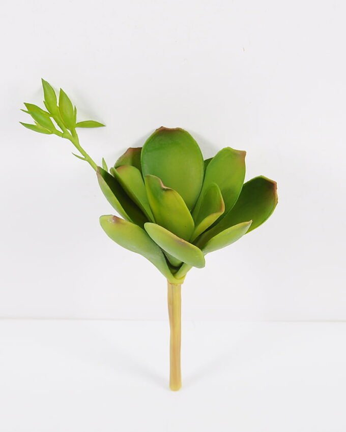 Artificial succulent Lotus GS-61620001-G1_2 Artificial succulent 12*27cm Lotus GS-61620001-G1 Single Flowers YeahFlower is one of Chinese leading OEM manufacturers and exporters , supplying the silk flowers, wholesale artificial trees