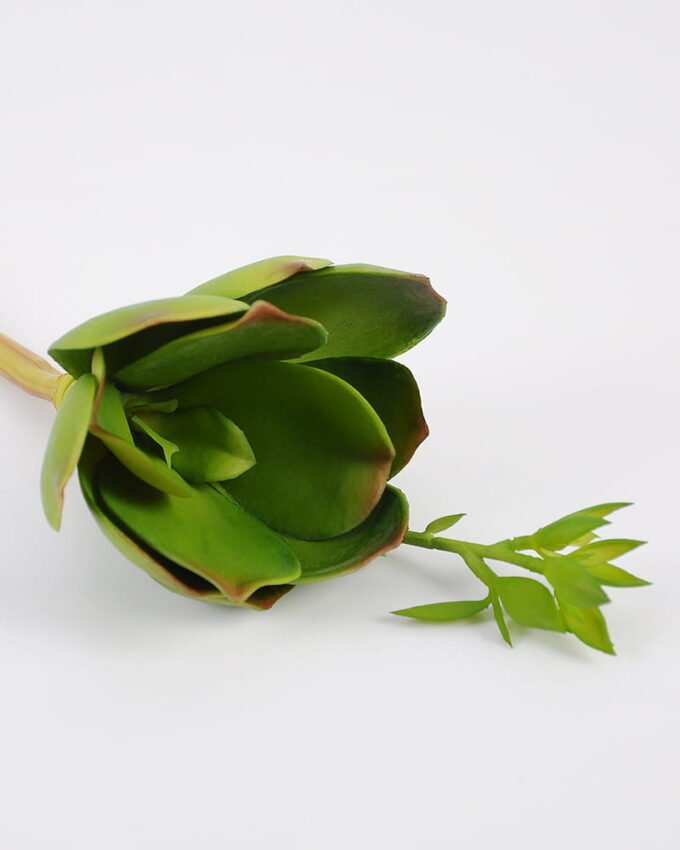 Artificial succulent Lotus GS-61620001-G1_7 Artificial succulent 12*27cm Lotus GS-61620001-G1 Single Flowers YeahFlower is one of Chinese leading OEM manufacturers and exporters , supplying the silk flowers, wholesale artificial trees
