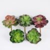 Artificial succulent 13*16cm Lotus GS-61620003-R1 Single Flowers YeahFlower is one of Chinese leading OEM manufacturers and exporters , supplying the silk flowers, wholesale artificial trees