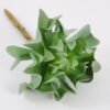 Artificial succulent 10*16cm Lotus GS-61620004-H1 Single Flowers YeahFlower is one of Chinese leading OEM manufacturers and exporters , supplying the silk flowers, wholesale artificial trees