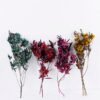 Dried Flowers 19*55CM Dodonaea,70g/bag, H:55cm/pc GS-56620098-G1 Single Flowers YeahFlower is one of Chinese leading OEM manufacturers and exporters , supplying the silk flowers, wholesale artificial trees