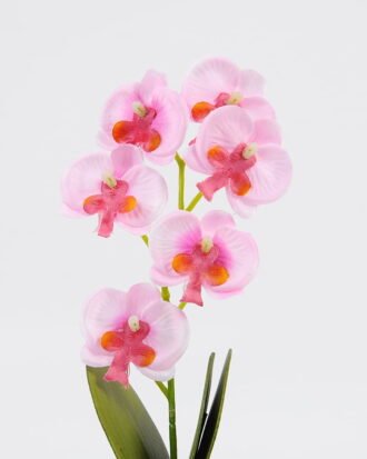 Artificial Flower 8*24cm Butterfly orchid in ceramic pot GS-62121003-P1 Potted Flowers&Plants YeahFlower is one of Chinese leading OEM manufacturers and exporters , supplying the silk flowers, wholesale artificial trees Artificial Flower 8*24cm Butterfly orchid in ceramic pot GS-62121003-P1