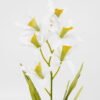 Artificial Flower 8*24cm Butterfly orchid in ceramic pot GS-62121003-P1