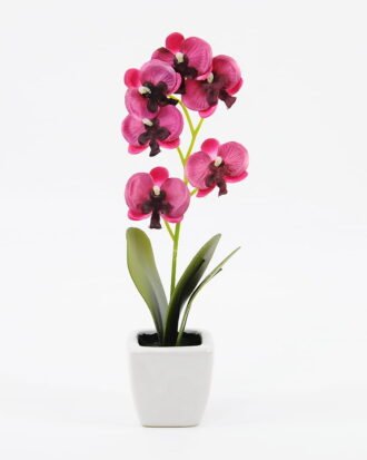 Artificial Flower 8*24cm Butterfly orchid in ceramic pot GS-62121003-Z1 Potted Flowers&Plants YeahFlower is one of Chinese leading OEM manufacturers and exporters , supplying the silk flowers, wholesale artificial trees Artificial Flower 8*24cm Butterfly orchid in ceramic pot GS-62121003-Z1