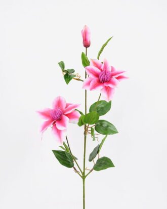Artificial Flower 22*86cm Clematis florida thunb*3 GS-15421001-P1 Single Flowers YeahFlower is one of Chinese leading OEM manufacturers and exporters , supplying the silk flowers, wholesale artificial trees Artificial Flower 22*86cm Clematis florida thunb*3 GS-15421001-P1
