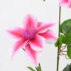 Artificial Flower 22*86cm Clematis florida thunb*3 GS-15421001-P1