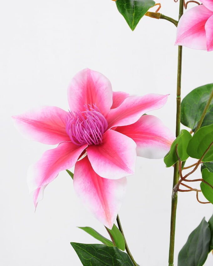 Artificial Flower 22*86cm Clematis florida thunb*3 GS-15421001-P1